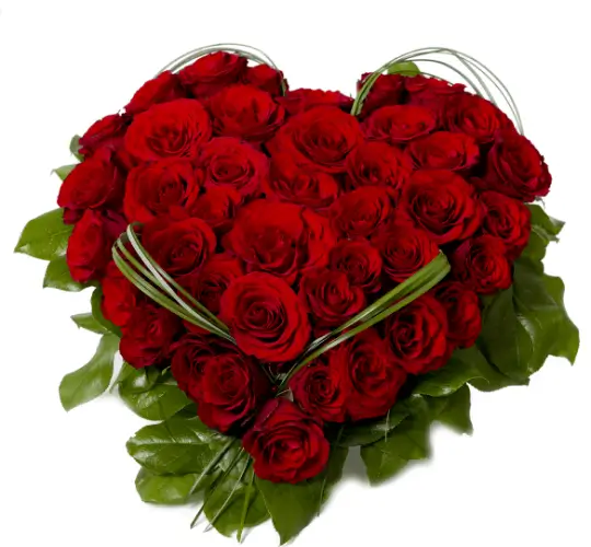 Vazbykvětin.cz - aranžmá na přání