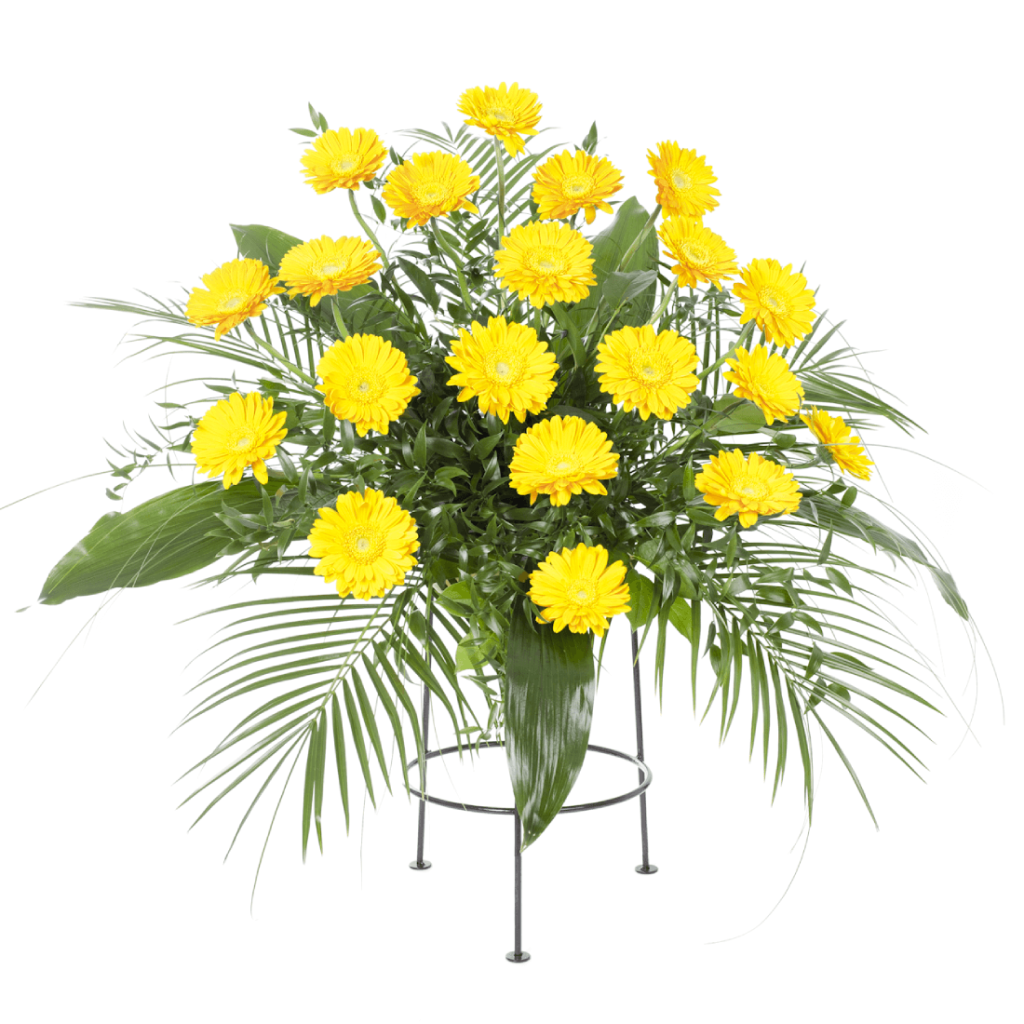 Aranžmá žluté gerbery