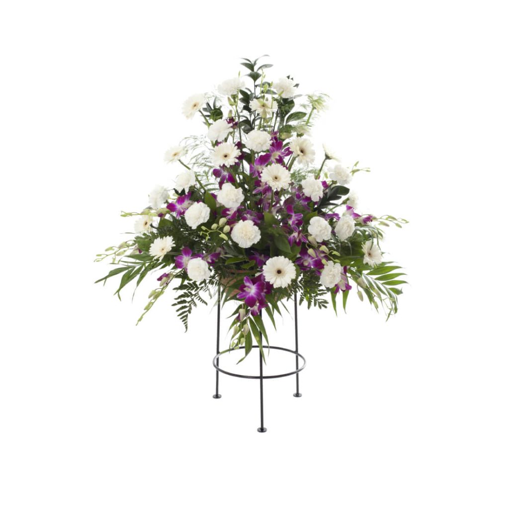 Aranžmá dendrobium